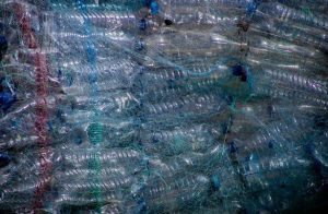 A bunch of used plastic bottles for recycling